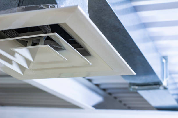 Best Air Duct Cleaning Company Near Me  in Wolf Lake, MI