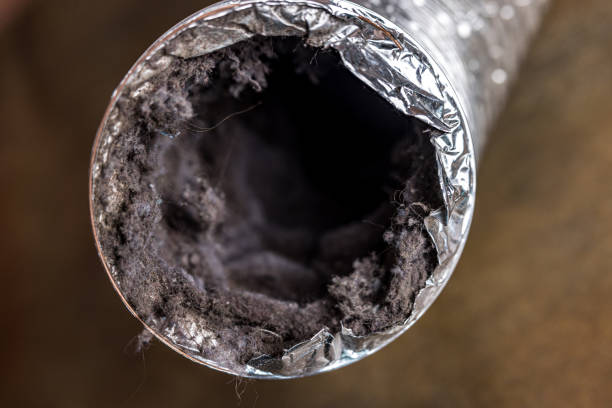 Best Air Duct Cleaning Near Me  in Wolf Lake, MI