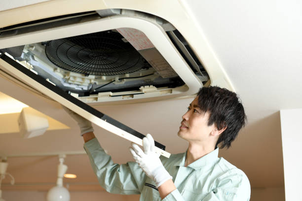 Best Affordable HVAC Duct Cleaning  in Wolf Lake, MI