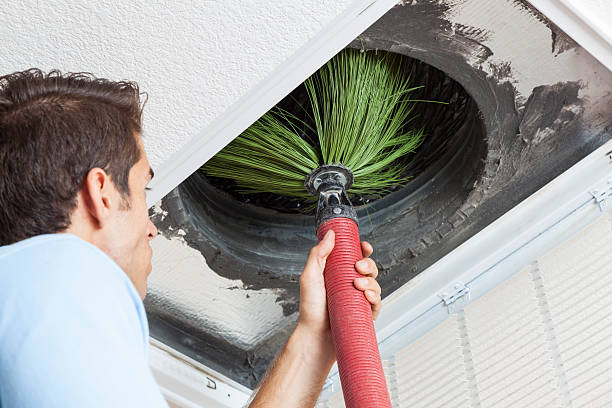 Best Best Air Duct Cleaning Company  in Wolf Lake, MI
