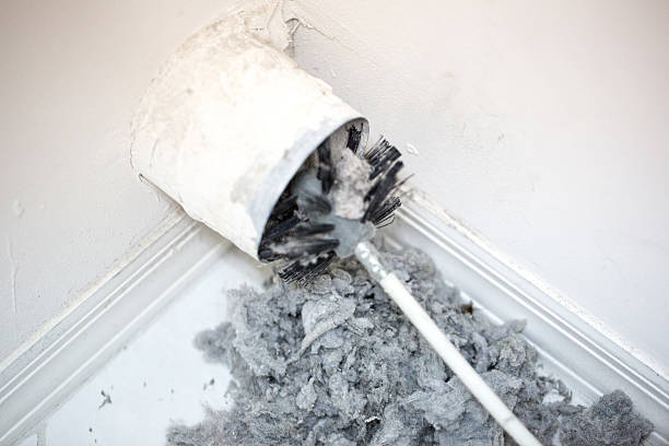 Best Local Air Duct Cleaning Services  in Wolf Lake, MI