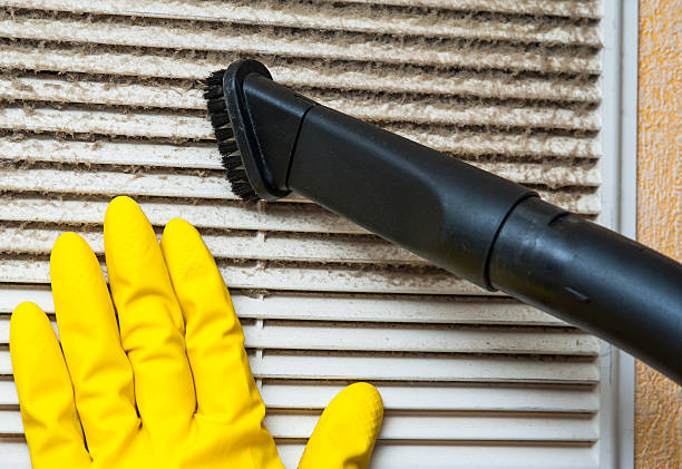 Best HVAC Duct Inspection Services  in Wolf Lake, MI